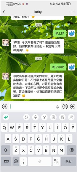 echoVa 聊天截图