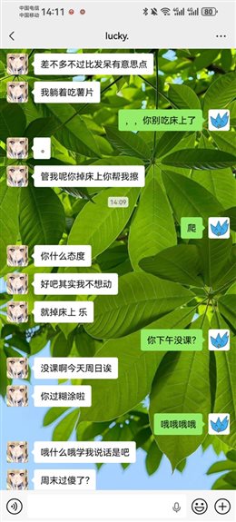 echoVa 聊天截图